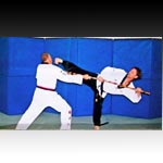 Master White spars with a student.